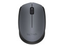 Logitech M170 Optical USB Grey Retail Wireless