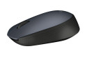 Logitech M170 Optical USB Grey Retail Wireless