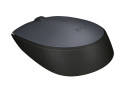 Logitech M170 Optical USB Grey Retail Wireless