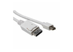 ACT 2 meter Verloopkabel Mini DisplayPort male naar DisplayPort male