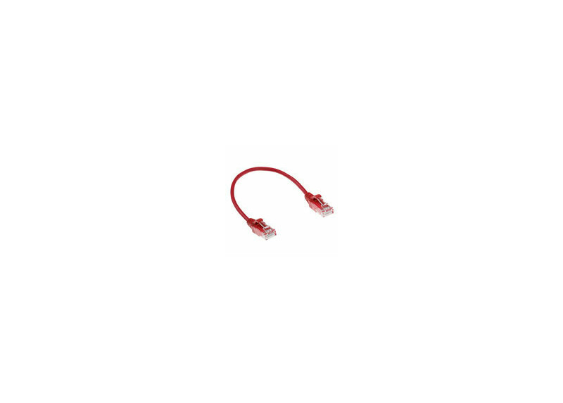 ACT Rode 0.5 meter LSZH U/UTP CAT6 datacenter slimline patchkabel snagless met RJ45 connectoren ACT Rode 0.5 meter LSZH U/UTP CAT6 datacenter slimline patchkabel snagless met RJ45 connectoren