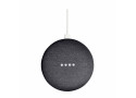Google Nest Mini Zwart