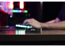 Kingston Fury Renegade G5 | 1TB NVMe SSD | M.2 | Gen5 | 14.200MB/s