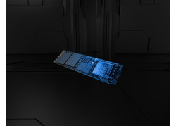 Kingston Fury Renegade G5 | 1TB NVMe SSD | M.2 | Gen5 | 14.200MB/s