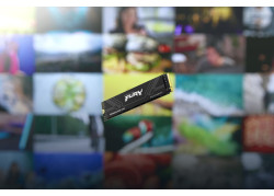 Kingston Fury Renegade G5 | 1TB NVMe SSD | M.2 | Gen5 | 14.200MB/s