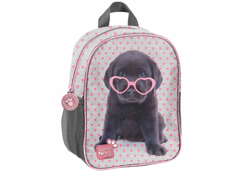 Studio Pets Rugzak - 28 cm hoog - Grijs met Roze hartjes Studio Pets Rugzak - 28 cm hoog - Grijs met Roze hartjes