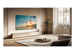 TCL 65P8K 65" | Ultra HD 4K QLED Smart TV (2025) | Google TV + Wifi | Dolby Vision & HDR10 | Quantum Dot Technologie | 120Hz