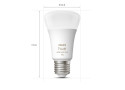 Philips Hue White and Color ambiance A60 - E27 slimme lamp - 1100 (2-pack)