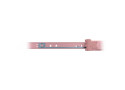 Inter-Tech IPC 2U Telescooprails 455mm
