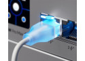 Ubiquiti UniFi Etherlighting Patch Cable 0,3m