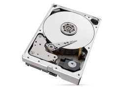 10,0TB Seagate IronWolf Pro NAS 256MB/7200rpm