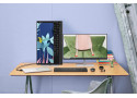 DT HP 230 Zwart draadloos Retail