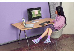 DT HP 230 Zwart draadloos Retail