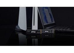 Kingston Fury Renegade | 2TB NVMe SSD | M.2 | Gen4 | 7.300MB/s Lezen | 7.000MB/s Schrijven | Heatsink