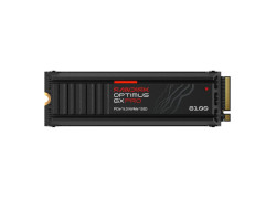 4TB M.2 PCIe NVMe SANDISK Optimus GX PRO 8100 14900 Heat