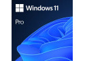 OS Microsoft Windows 11 Pro 64bit ESD Multilanguage