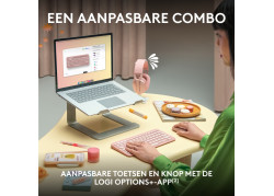 DT Logitech Pebble 2 Combo Wit