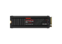 4TB M.2 PCIe NVMe SANDISK Optimus GX PRO 8100 14900 Heat