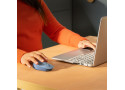 Logitech M171 Optical USB-A Blauw-Grijs Retail Wireless