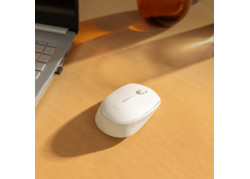 Logitech M171 Optical USB-A Wit Retail Wireless