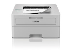 Brother HL-L2865DW MONO / LAN / WLAN / Wit