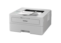 Brother HL-L2865DW MONO / LAN / WLAN / Wit