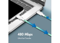 USB-C 2.0(M) <> USB-C(M) 1.0m LogiLink 60W/480Mbps gr.