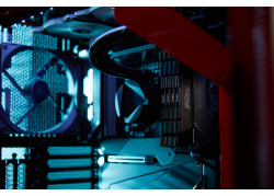 16GB DDR4/3600 CL16 Kingston FURY Renegade Black XMP