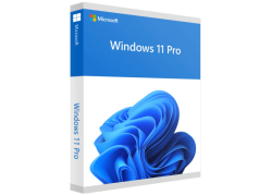 OS UK Microsoft Windows 11 Pro 64bit DVD OEM