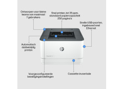 HP LaserJet Pro 3002dw MONO / WLAN / LAN / Wit-Zwart