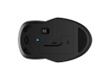 HP 250 Dual Mouse | Draadloze Muis | Bluetooth 5.0 & 2.4 GHz USB Ontvanger | 1600 DPI | Ambidextrous | Zwart