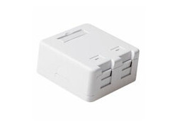 ACT Keystone opbouwdoos 2-voudig