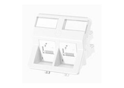 Molex Molex PowerCAT 6 UTP 2 x RJ45 inbouw module , wit, 50 x 50 mm
