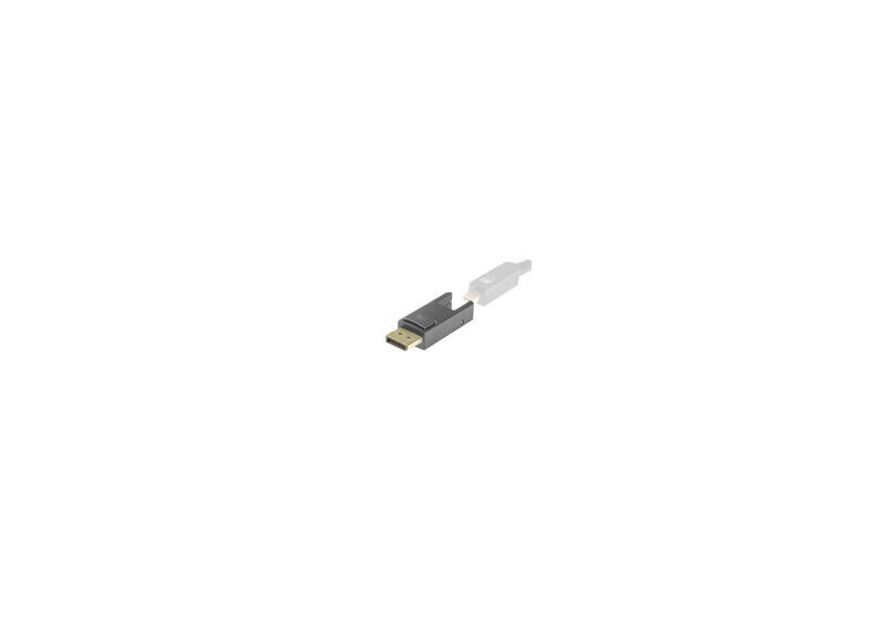 ACT Vervangadapter Mini DisplayPort naar DisplayPort voor DisplayPort Active Optical Cables met afneembare connector